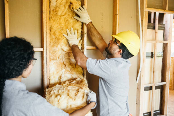 Best Insulation for New Construction  in Bingham Farms, MI